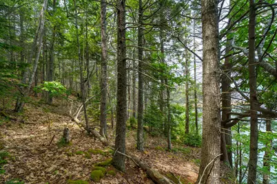 205 Steves Road, Boothbay, ME 04537 - Photo 15
