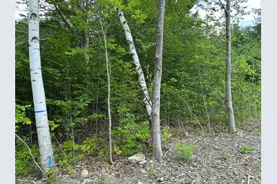 Tbd Dingley Road, Bowdoinham, ME 04008 - Photo 3