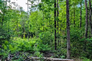 147 Calvin Gray Rd, Madrid Twp, ME 04966 - Photo 61