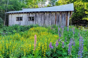 147 Calvin Gray Rd, Madrid Twp, ME 04966 - Photo 37