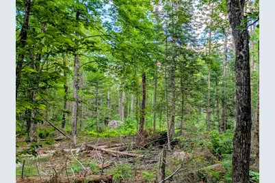147 Calvin Gray Road, Madrid Twp, ME 04966 - Photo 63