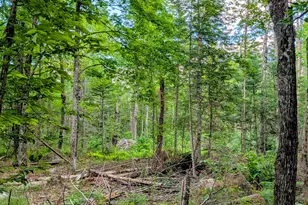 147 Calvin Gray Rd, Madrid Twp, ME 04966 - Photo 63