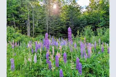 147 Calvin Gray Road, Madrid Twp, ME 04966 - Photo 57