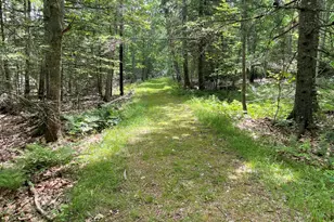 101 Wardwell Point Rd, Penobscot, ME 04476 - Photo 43