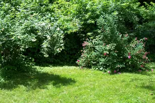 83 Elmwood Rd, Auburn, ME 04210 - Photo 43
