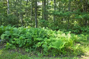81 Spruce Rd, Rockwood T1 R1 NBKP, ME 04478 - Photo 53