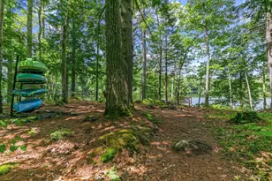 386 Lake House Rd, Naples, ME 04055 - Photo 7