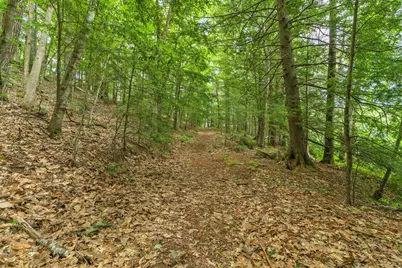 386 Lake House Road, Naples, ME 04055 - Photo 75
