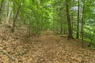 386 Lake House Rd, Naples, ME 04055 - Photo 75