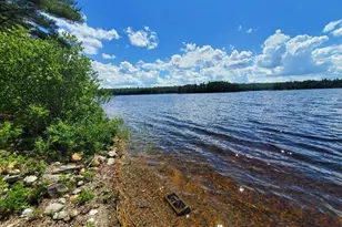 115 Shorey Brook Ln, Beddington, ME 04622 - Photo 9