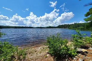 115 Shorey Brook Ln, Beddington, ME 04622 - Photo 7