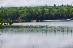 115 Shorey Brook Ln, Beddington, ME 04622 - Photo 37