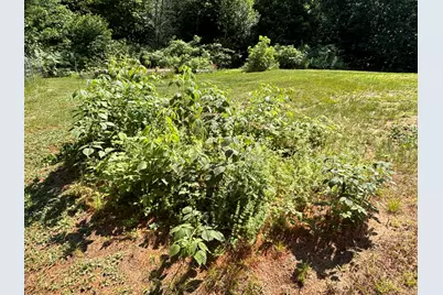 1363 US Route 2  West, Wilton, ME 04294 - Photo 75