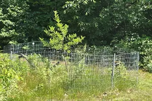 1363 US Route 2 W, Wilton, ME 04294 - Photo 73