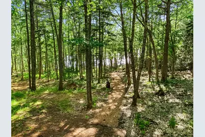 Part Of Map 26 Lot 46 & 48 Mullins Bog Road, Lincolnville, ME 04849 - Photo 7
