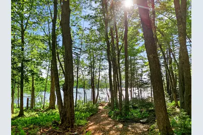 Part Of Map 26 Lot 46 & 48 Mullins Bog Road, Lincolnville, ME 04849 - Photo 3