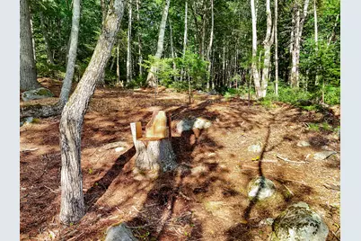Part Of Map 26 Lot 46 & 48 Mullins Bog Road, Lincolnville, ME 04849 - Photo 21