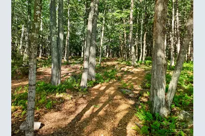 Part Of Map 26 Lot 46 & 48 Mullins Bog Road, Lincolnville, ME 04849 - Photo 9