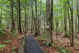 13 Shore Rd, Fayette, ME 04349 - Photo 9