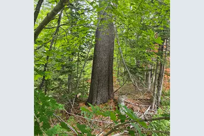 340 Howland Road, Lagrange, ME 04453 - Photo 19