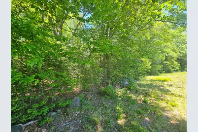 Lot 1 Martins Ridge Road, Franklin, ME 04634 - Photo 5