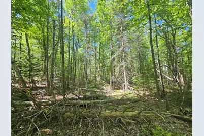 Lot 1 Martins Ridge Road, Franklin, ME 04634 - Photo 11