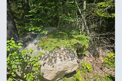 Lot 1 Martins Ridge Road, Franklin, ME 04634 - Photo 7