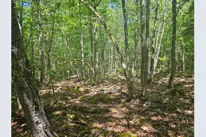 Lot 1 Martins Ridge Road, Franklin, ME 04634 - Photo 13