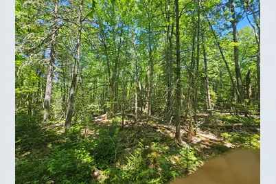 Lot 1 Martins Ridge Road, Franklin, ME 04634 - Photo 9