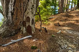 #36 Snake Island, Beaver Cove, ME 04441 - Photo 33