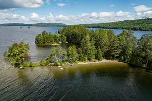 #36 Snake Island, Beaver Cove, ME 04441 - Photo 3