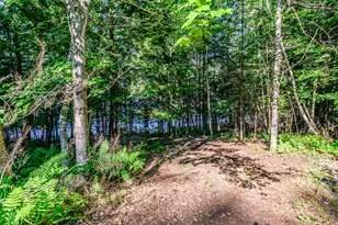 100 Evergreen Rd, Bridgton, ME 04009 - Photo 85