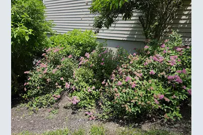 56 Hydrangea Circle #10, Naples, ME 04055 - Photo 43