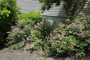 56 Hydrangea Cir, Naples, ME 04055 - Photo 43