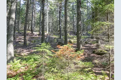 10 Island Retreat Road, Swans Island, ME 04685 - Photo 1