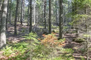 10 Island Retreat Rd, Swans Island, ME 04685 - Photo 1