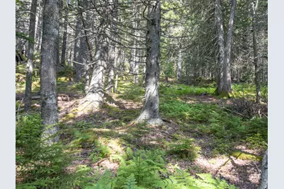 10 Island Retreat Road, Swans Island, ME 04685 - Photo 9