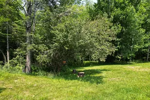 32 Kelley Ave, Lincoln, ME 04457 - Photo 31