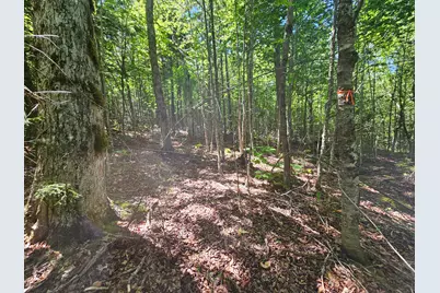 Lot 2 Martins Ridge Road, Franklin, ME 04634 - Photo 11