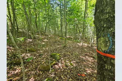 Lot 2 Martins Ridge Road, Franklin, ME 04634 - Photo 9