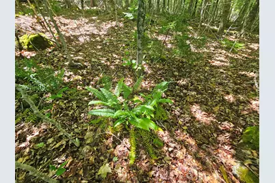 Lot 2 Martins Ridge Road, Franklin, ME 04634 - Photo 7