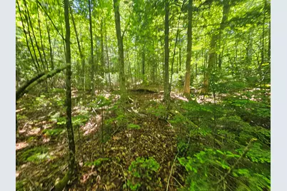 Lot 3 Martins Ridge Road, Franklin, ME 04634 - Photo 7