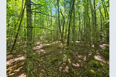 Lot 4 Martins Ridge Road, Franklin, ME 04634 - Photo 13