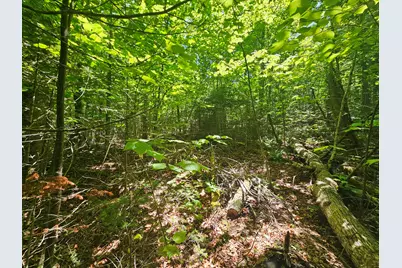 Lot 4 Martins Ridge Road, Franklin, ME 04634 - Photo 7