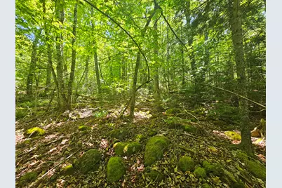 Lot 4 Martins Ridge Road, Franklin, ME 04634 - Photo 9