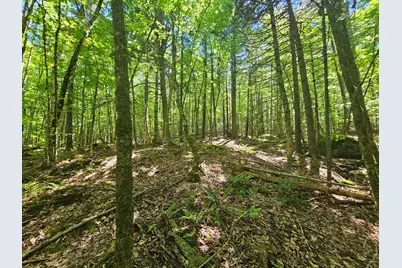 Lot 4 Martins Ridge Road, Franklin, ME 04634 - Photo 11