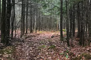 49-51 Pleasant St, Norway, ME 04268 - Photo 1