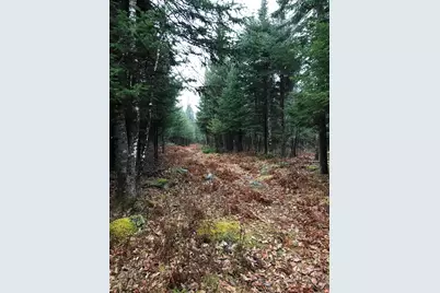 49-51 Pleasant Street, Norway, ME 04268 - Photo 3