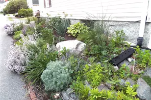 48 6th St, Bangor, ME 04401 - Photo 3