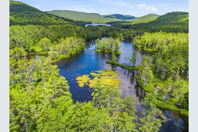 125 Dam Road, Porter, ME 04068 - Photo 69